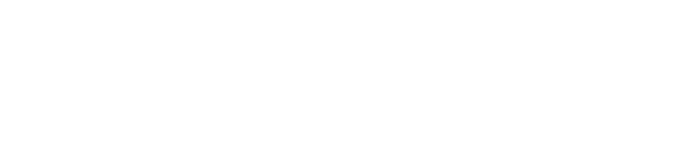 HAVIT